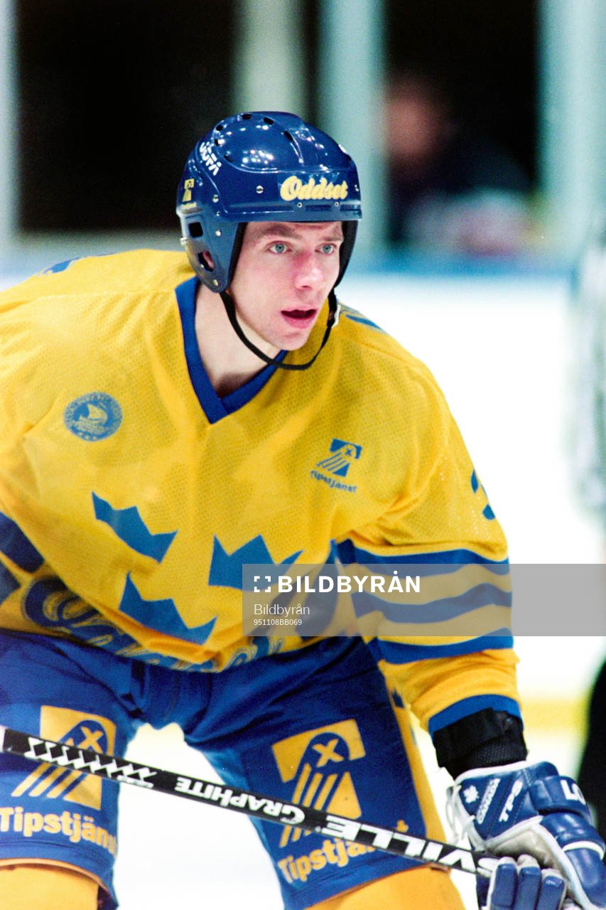 Roger Johansson, Sverige