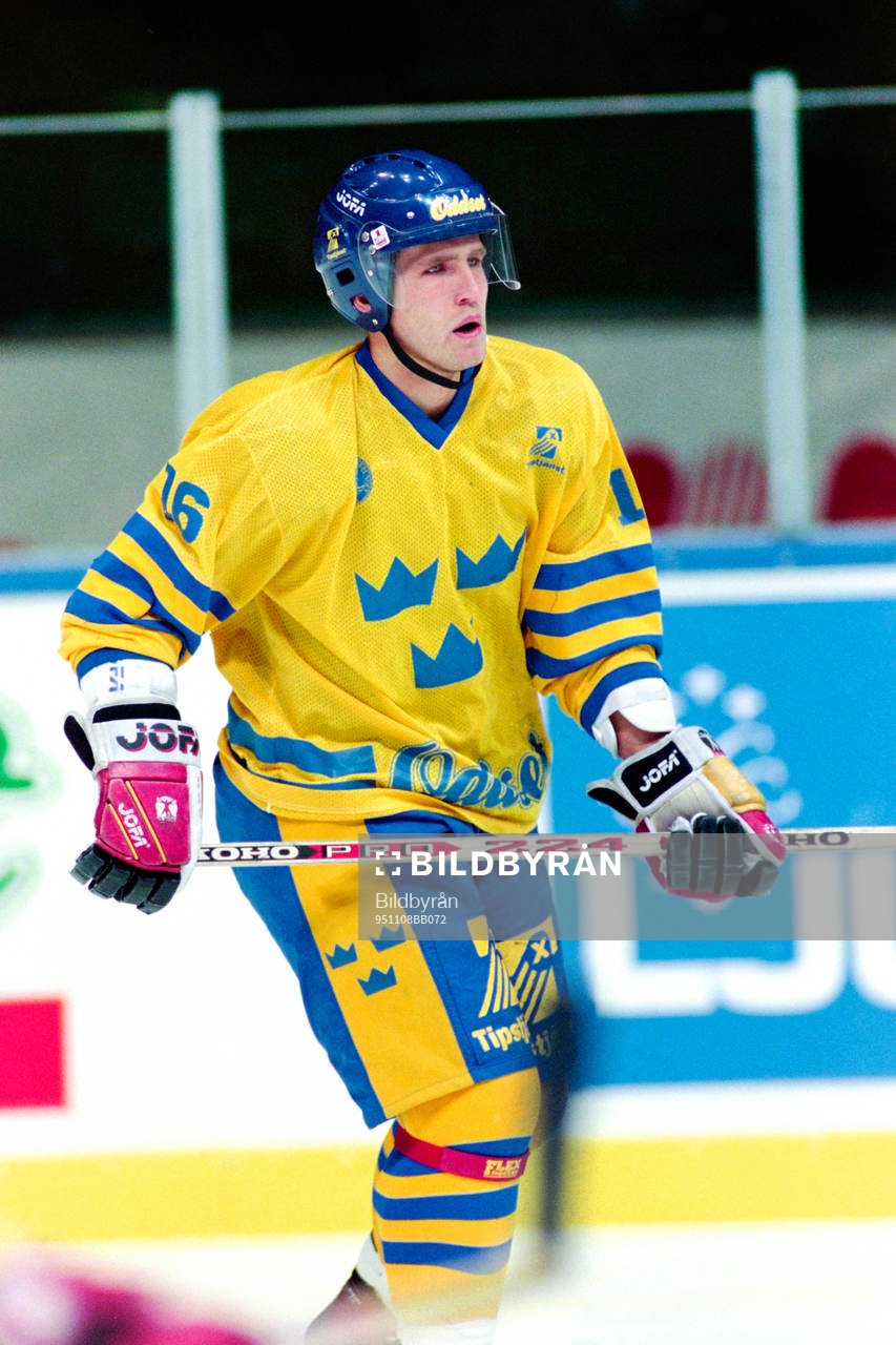 Mikael Wahlberg, Sverige