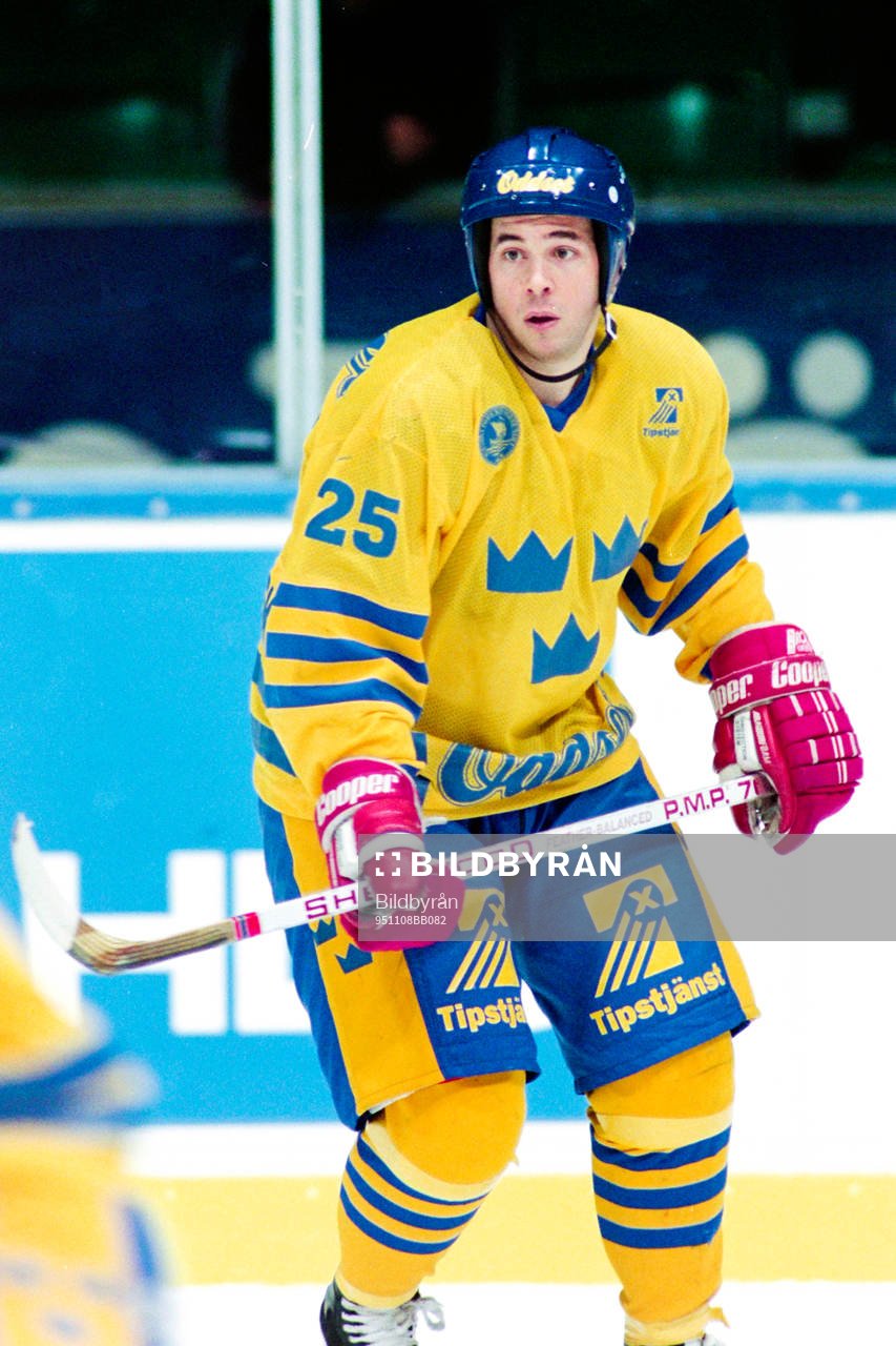 Robert Burakovsky, Sverige