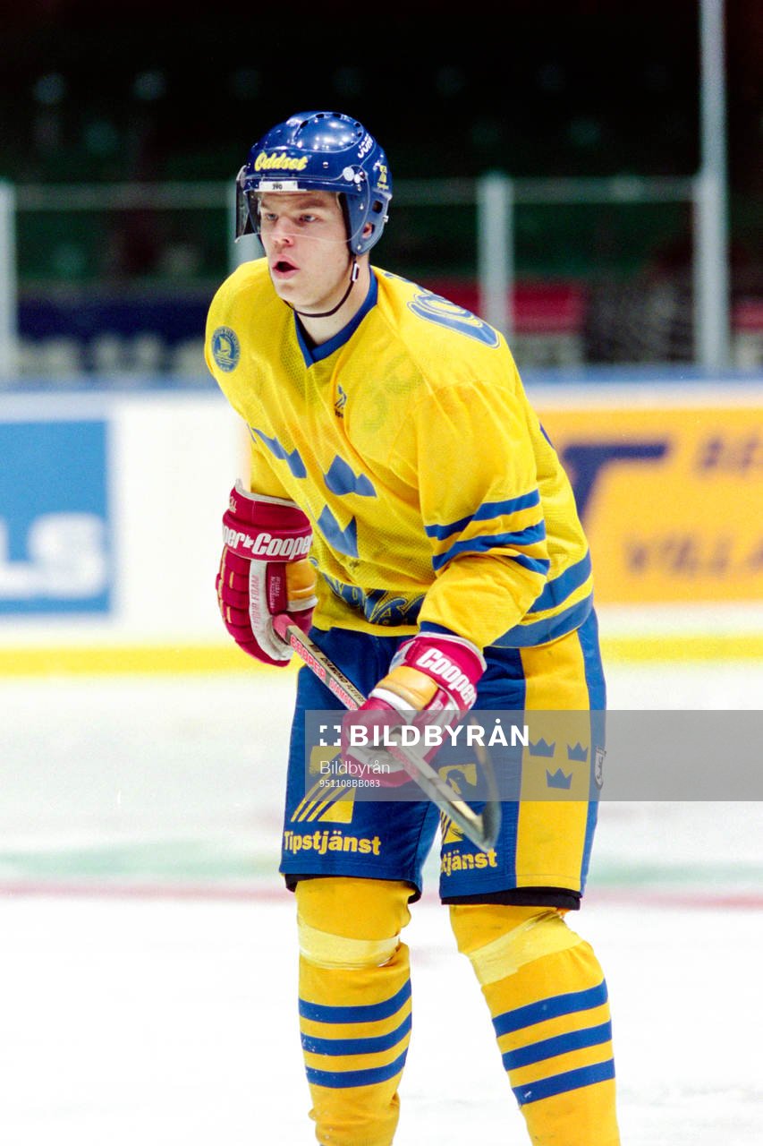 Fredrik Modin, Sverige