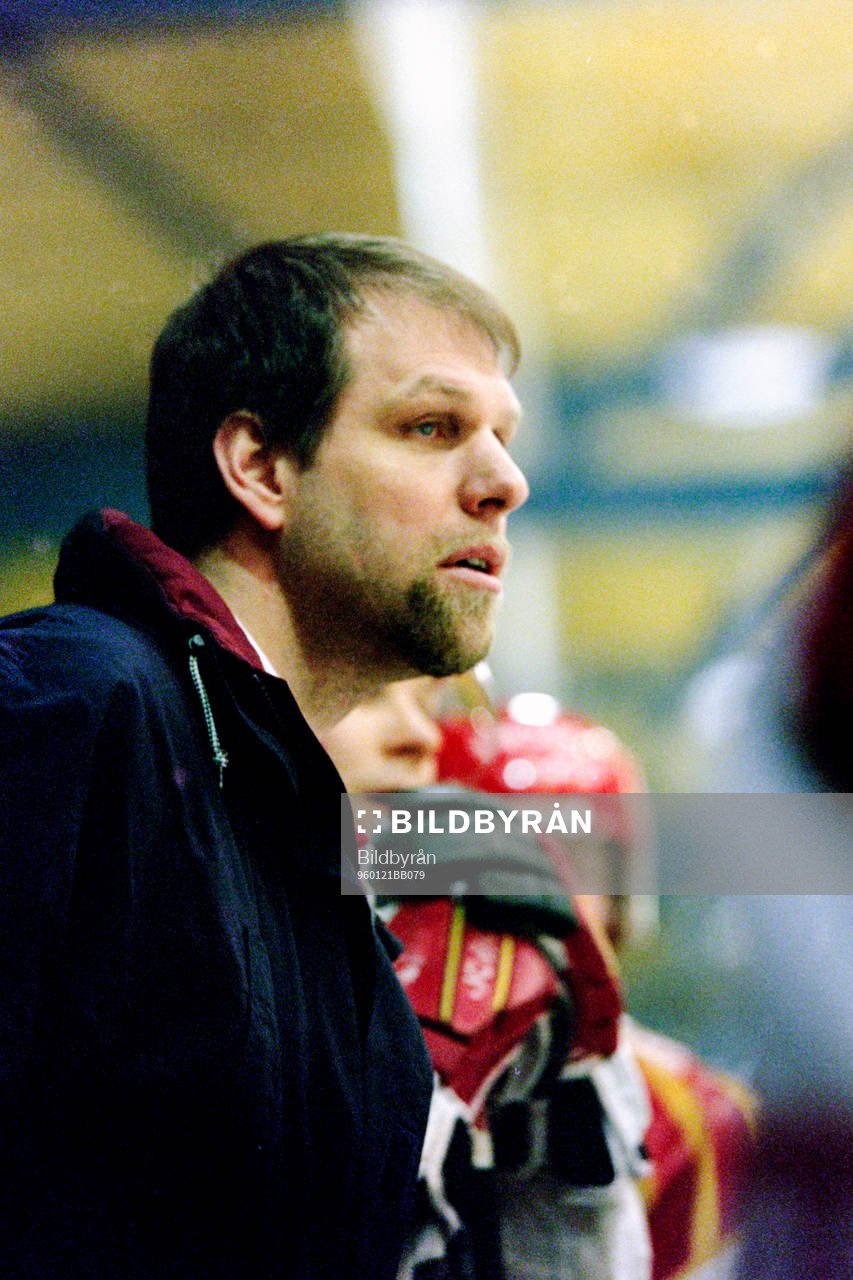 Göran Sjöberg, Tränare i Brynäs