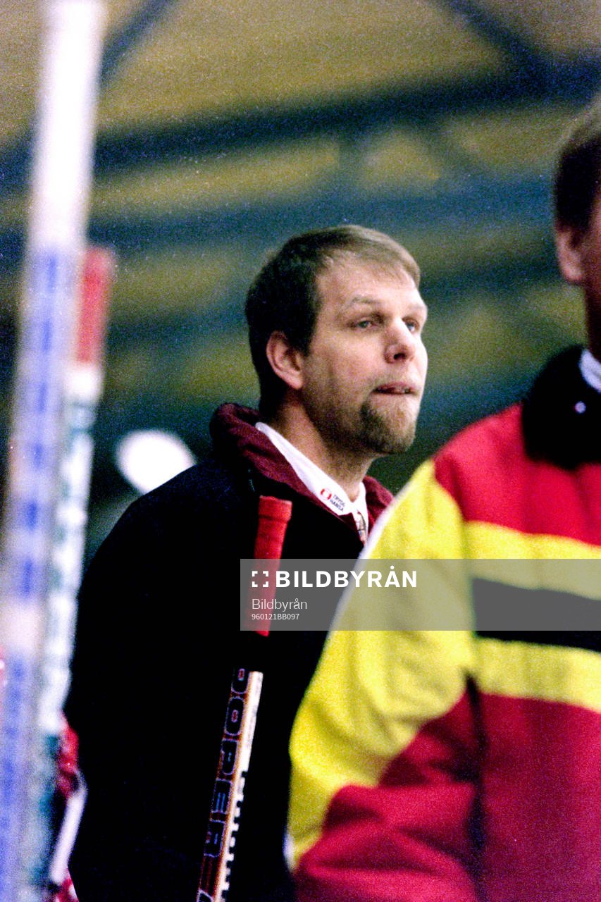 Göran Sjöberg, Tränare i Brynäs