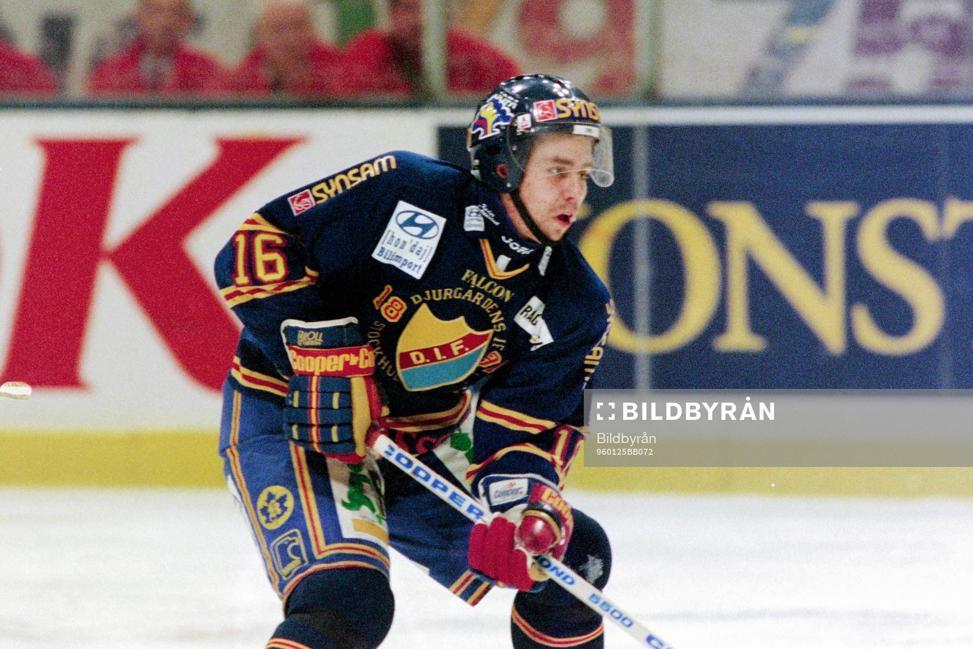 Nichlas Falk, Djurgården