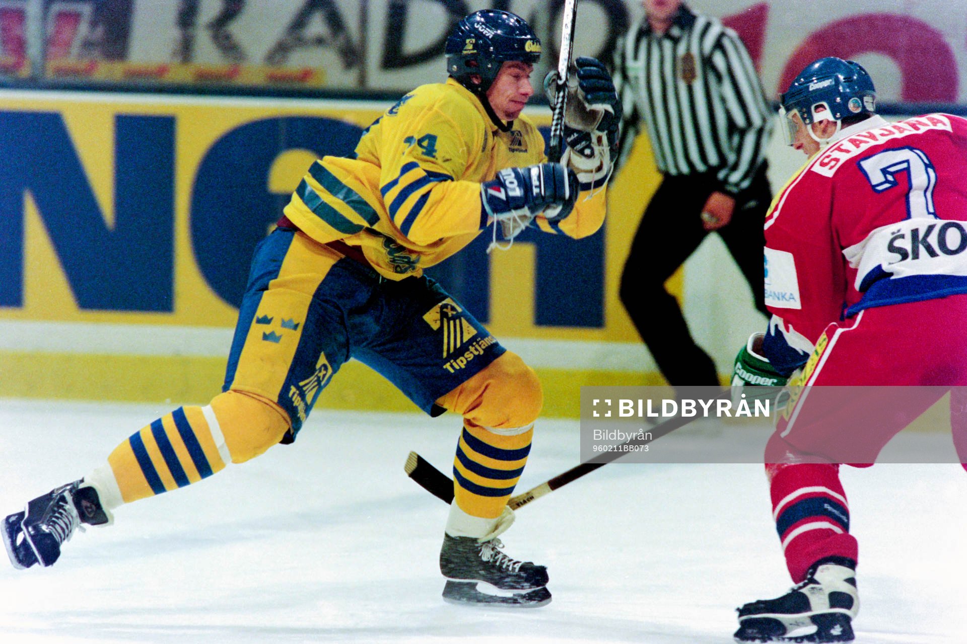 Roger Johansson, Sverige