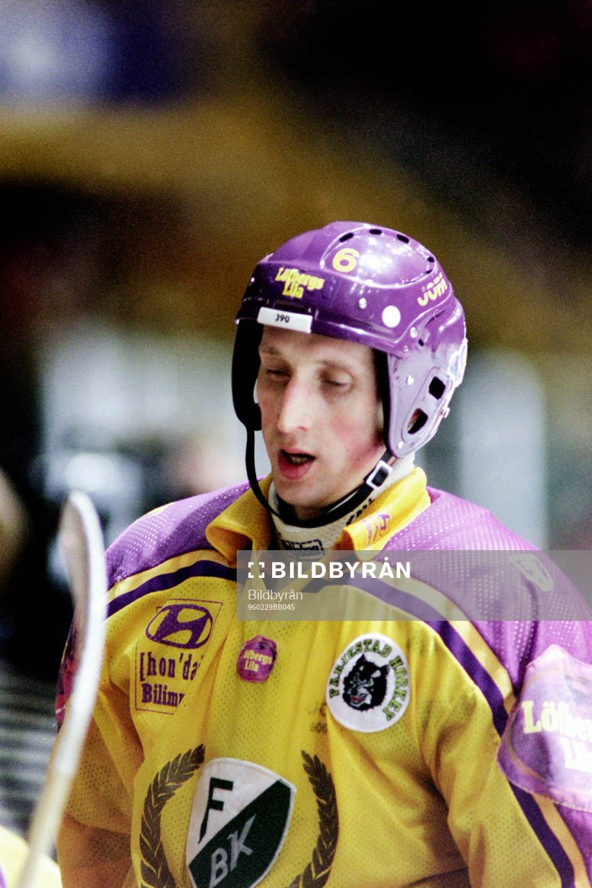 Sergei Fokin, Färjestad