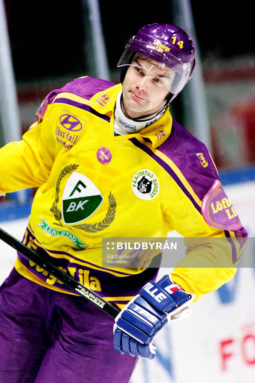 Jonas Höglund, Färjestad