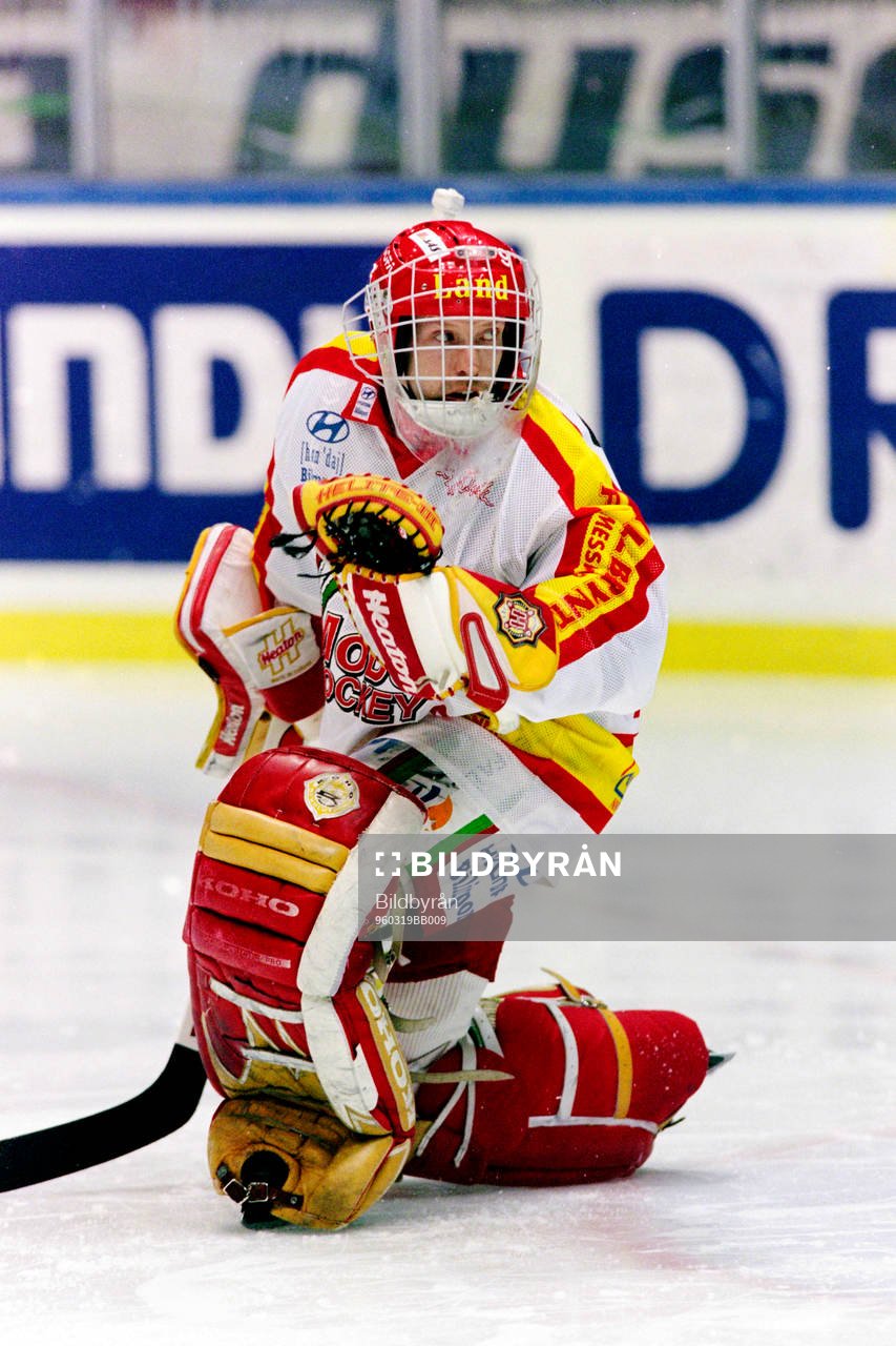 Ishockey, Elitserien, Semifinal, Västra Frölunda - Modo,