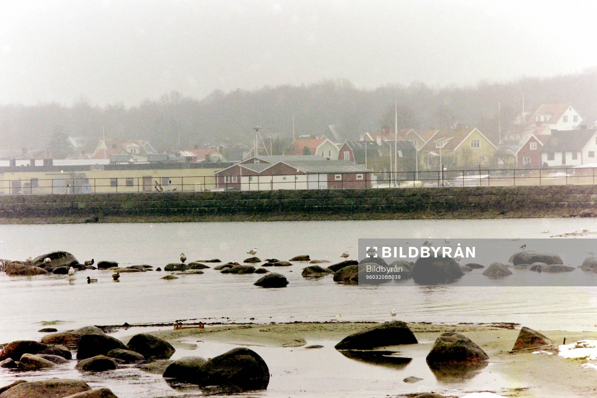 Hällevik