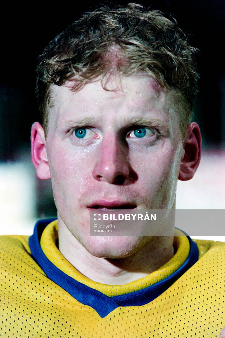 Daniel Alfredsson, Sverige