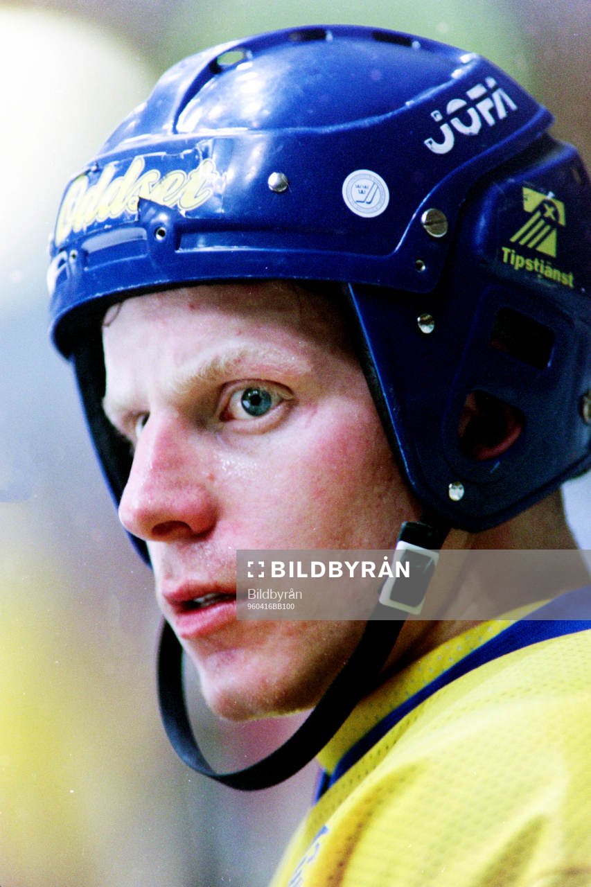 Daniel Alfredsson, Sverige