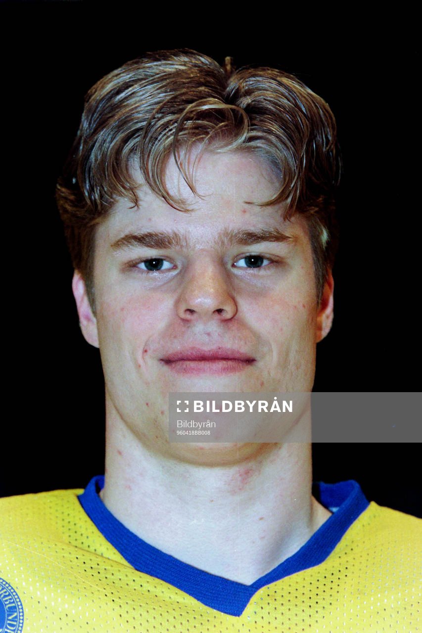 Fredrik Modin, Sverige