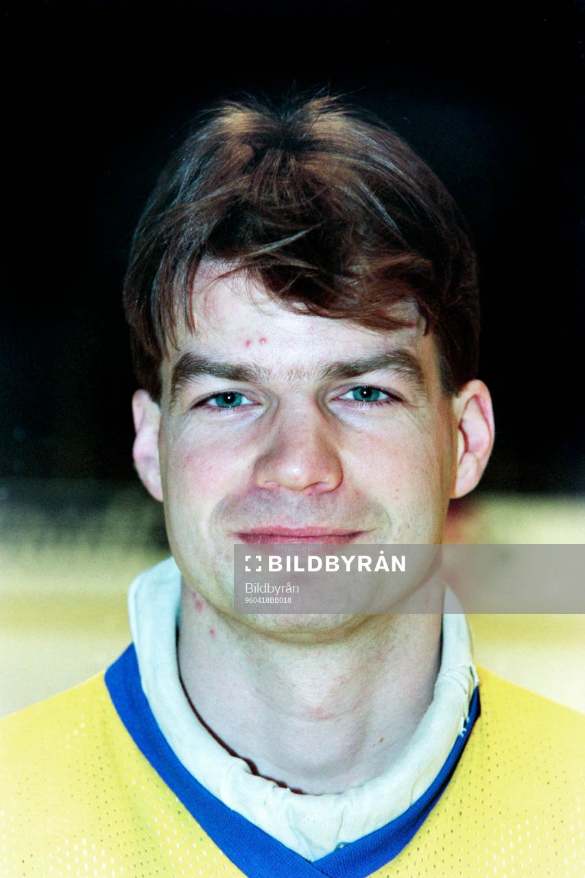 Mikael Sandberg, Sverige