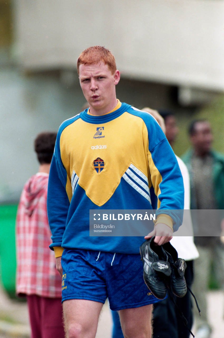 Jörgen Pettersson, Sverige