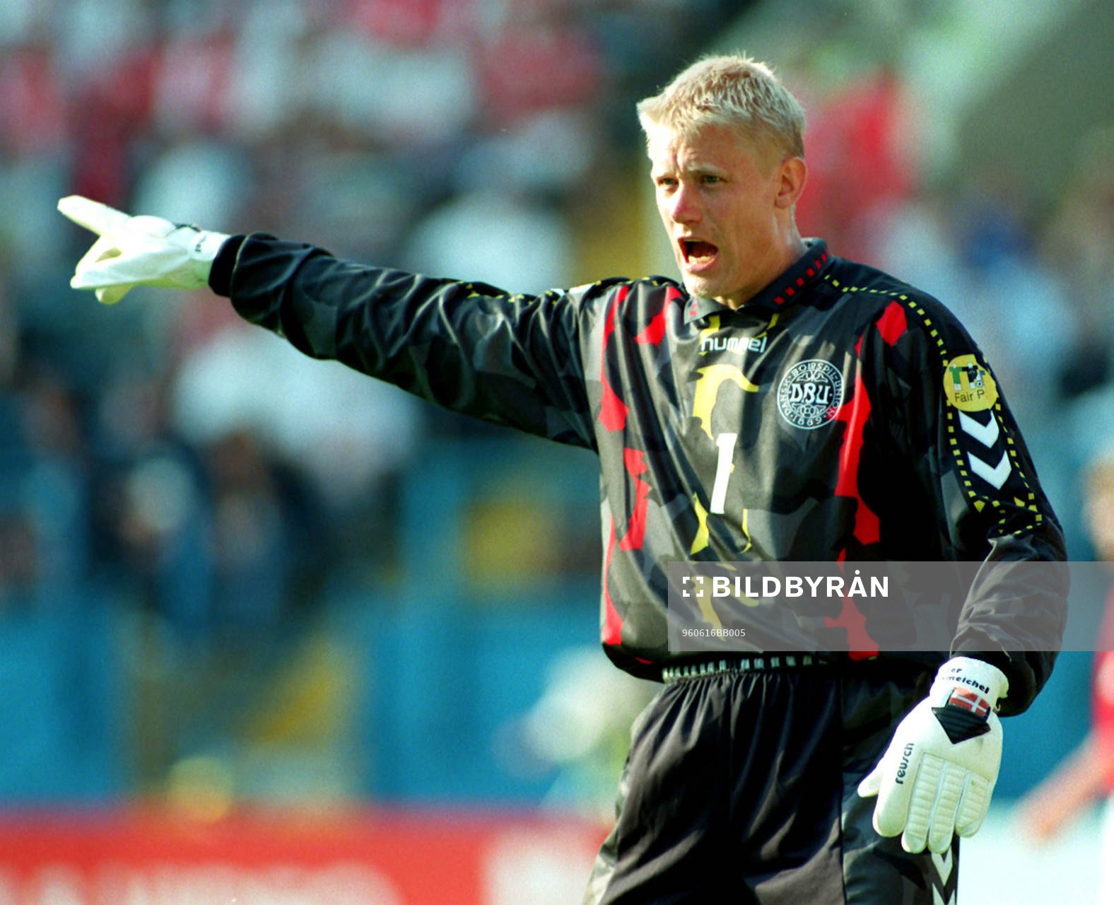  Peter Schmeichel, Danmark
