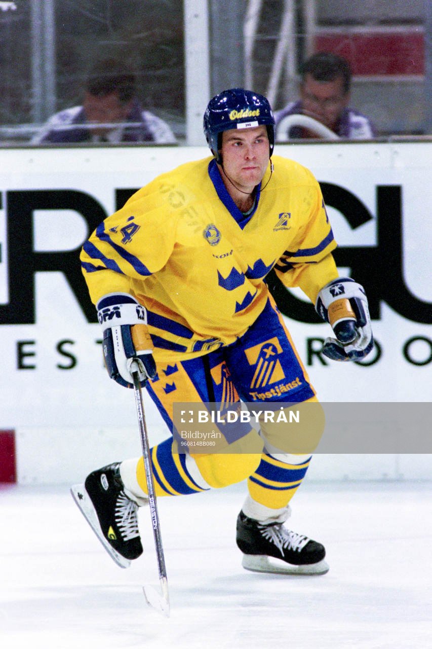 Niklas Sundström, Sverige