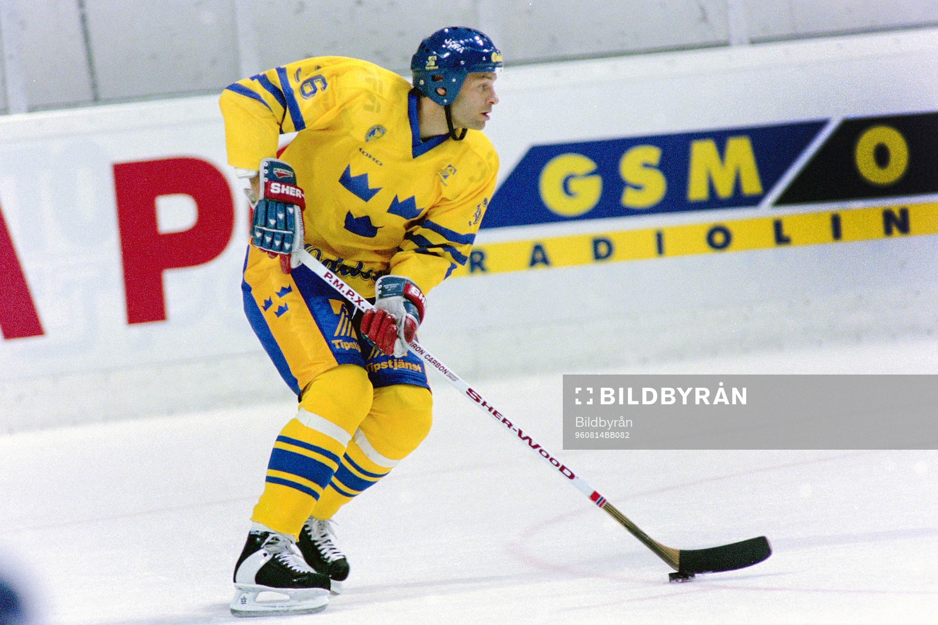 Peter Popovic, Sverige