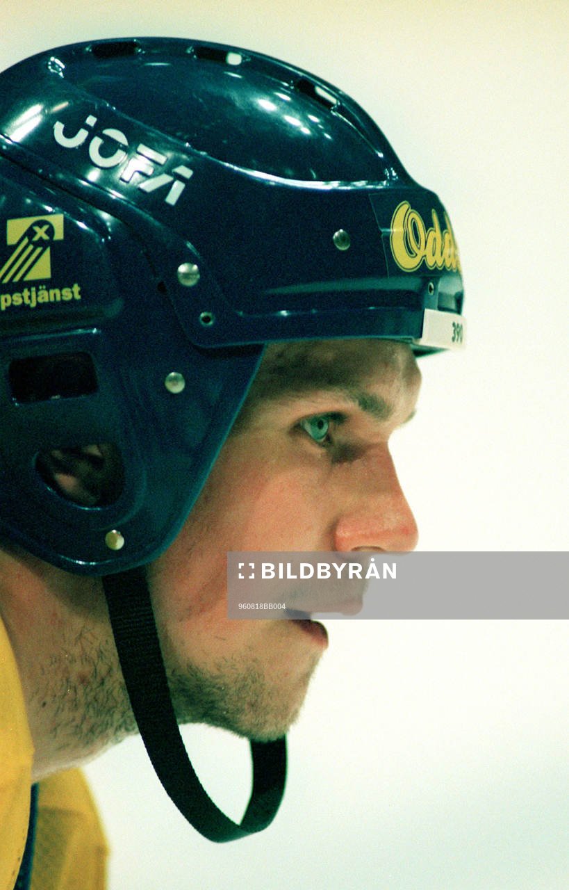 Nicklas Lidström, Sverige