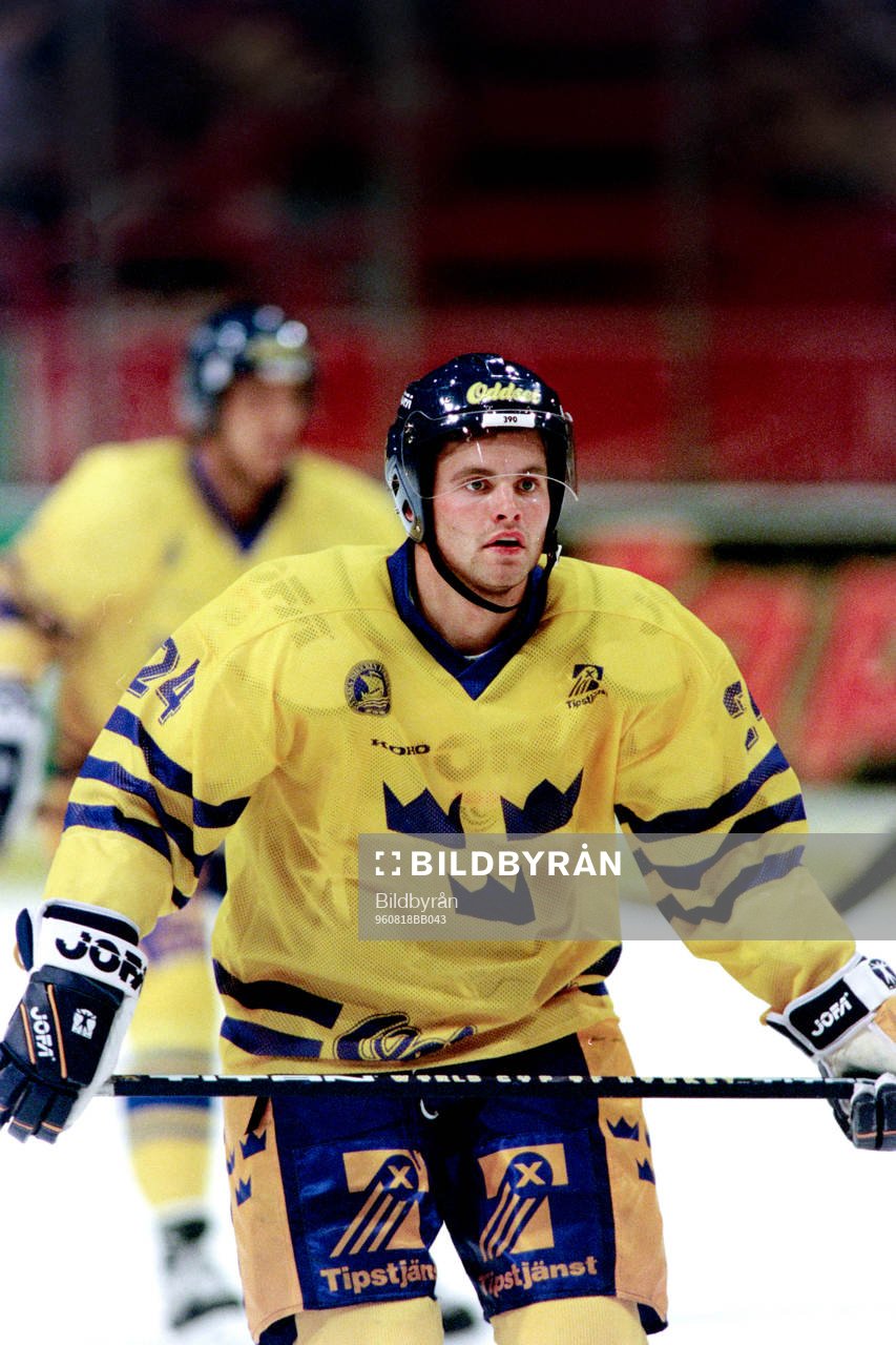 Niklas Sundström, Sverige