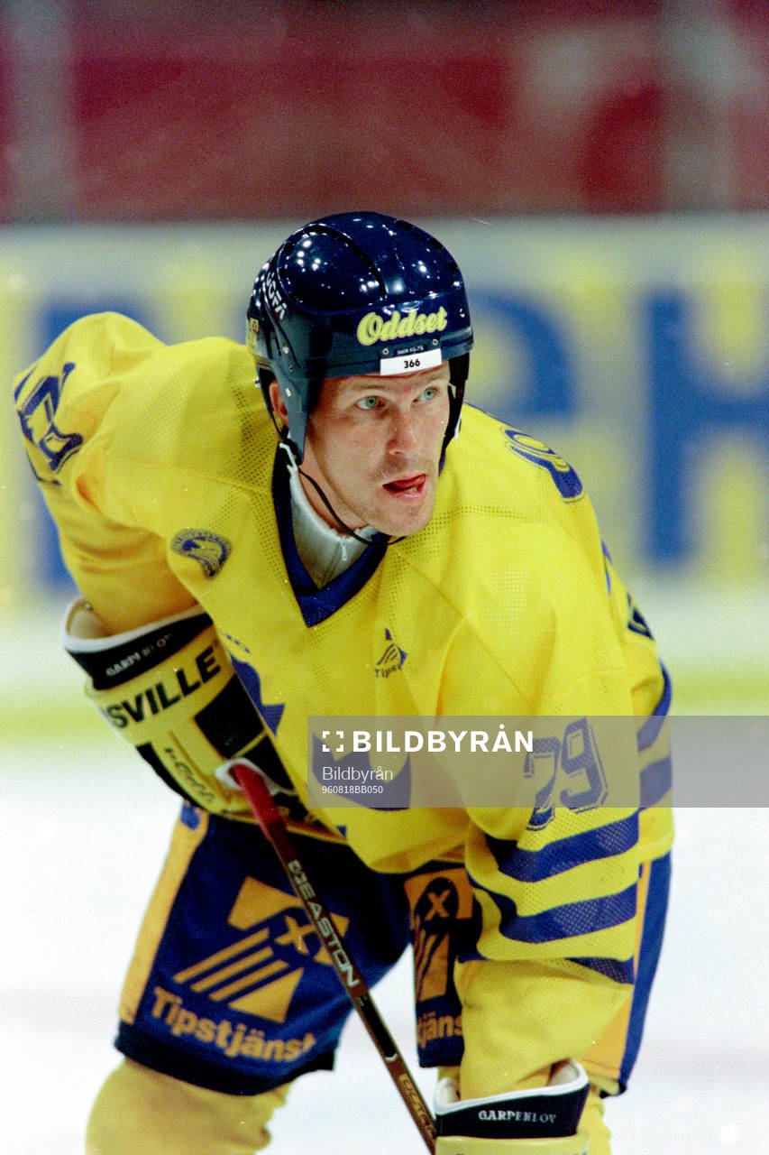Johan Garpenlöv, Sverige