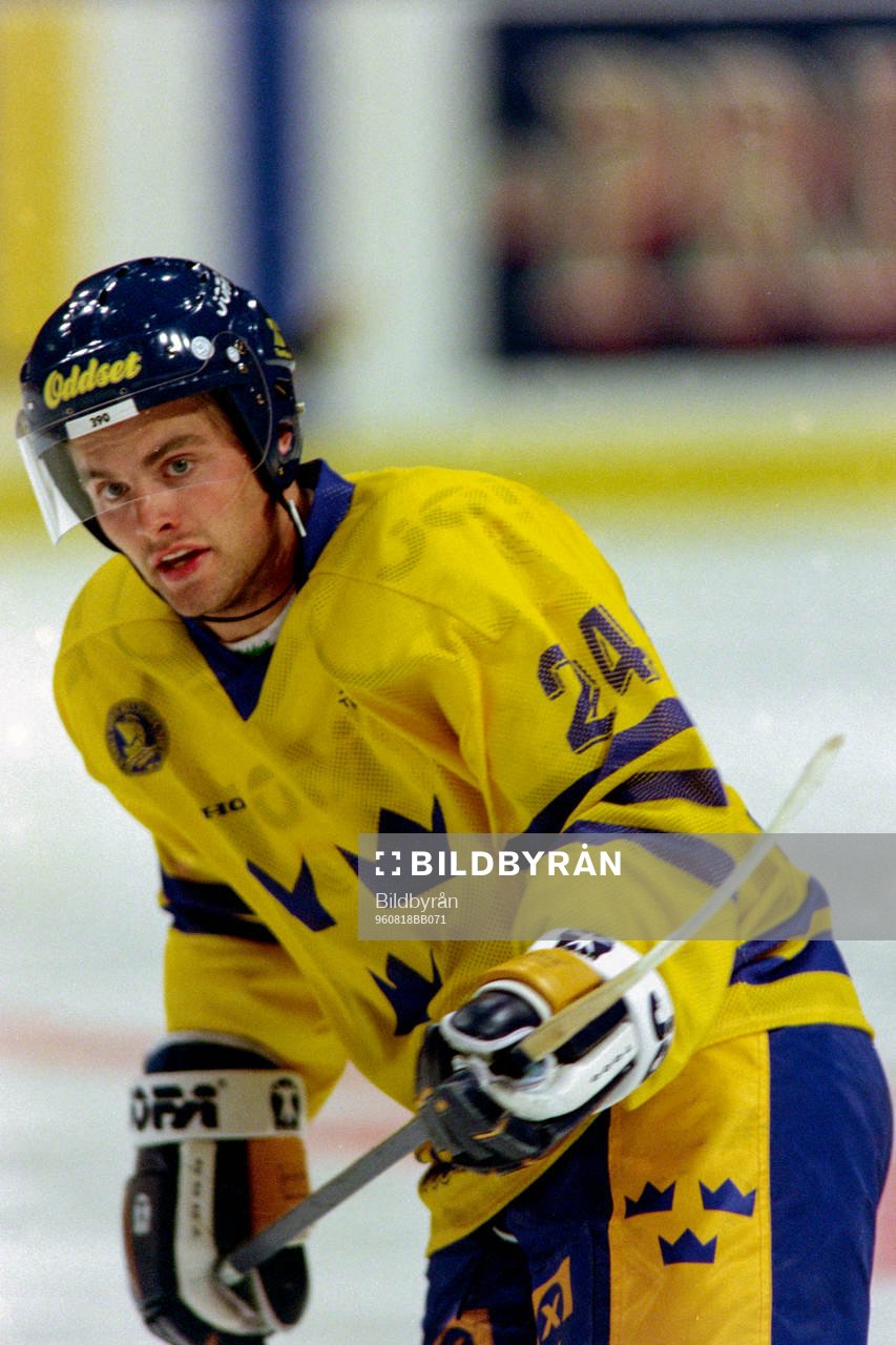 Niklas Sundström, Sverige