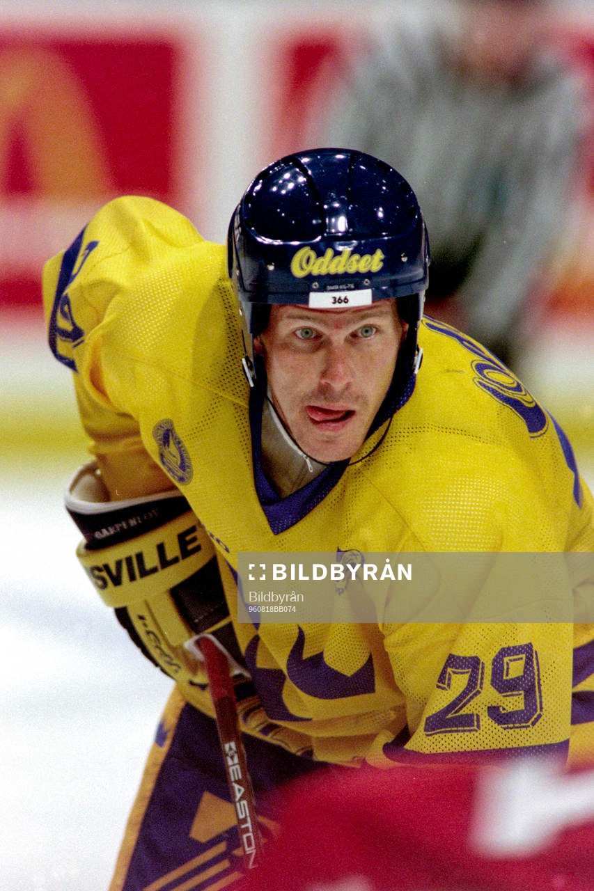 Johan Garpenlöv, Sverige