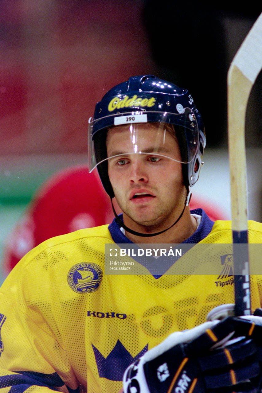Niklas Sundström, Sverige