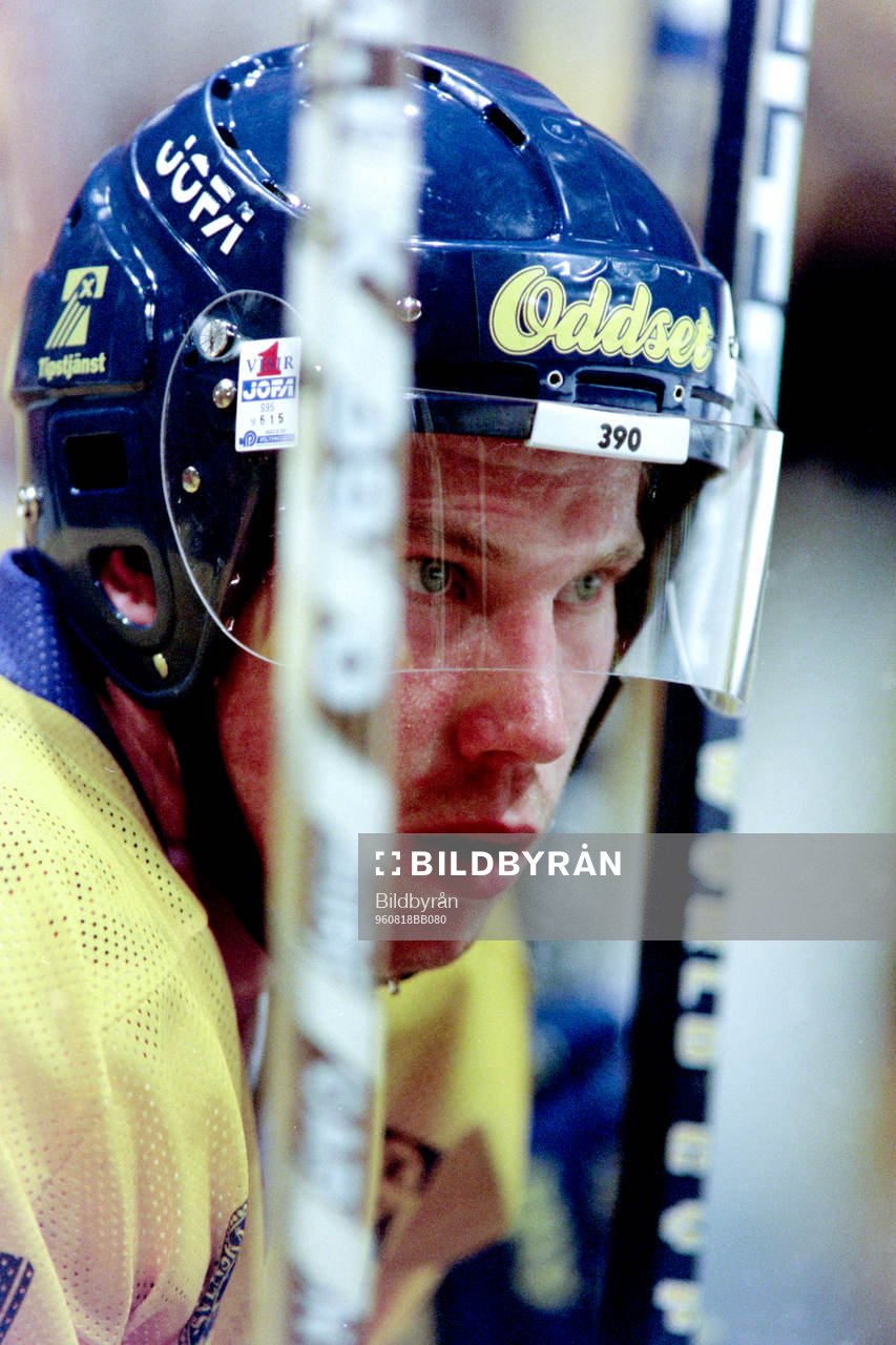 Peter Forsberg, Sverige