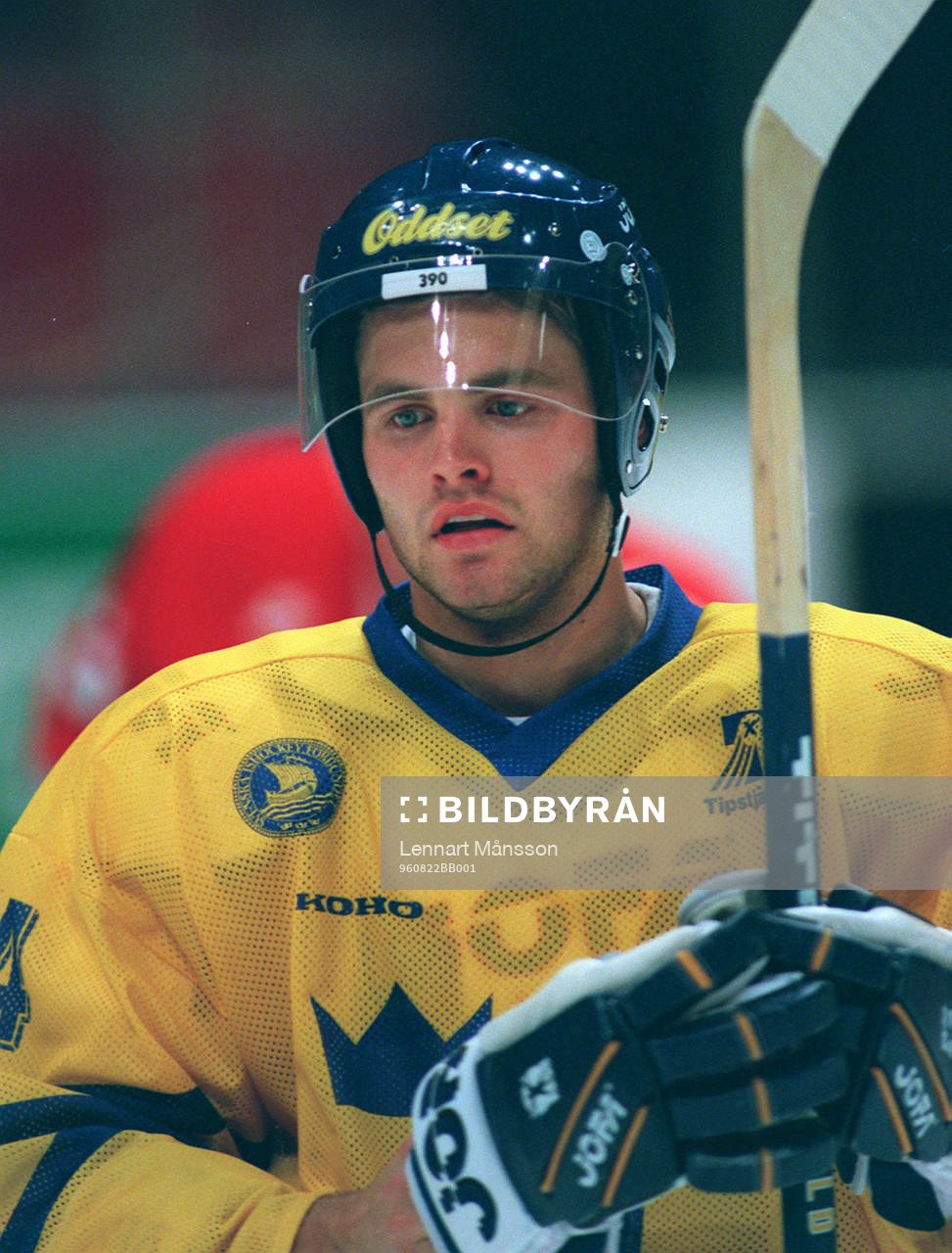 Niklas Sundström, Sverige
