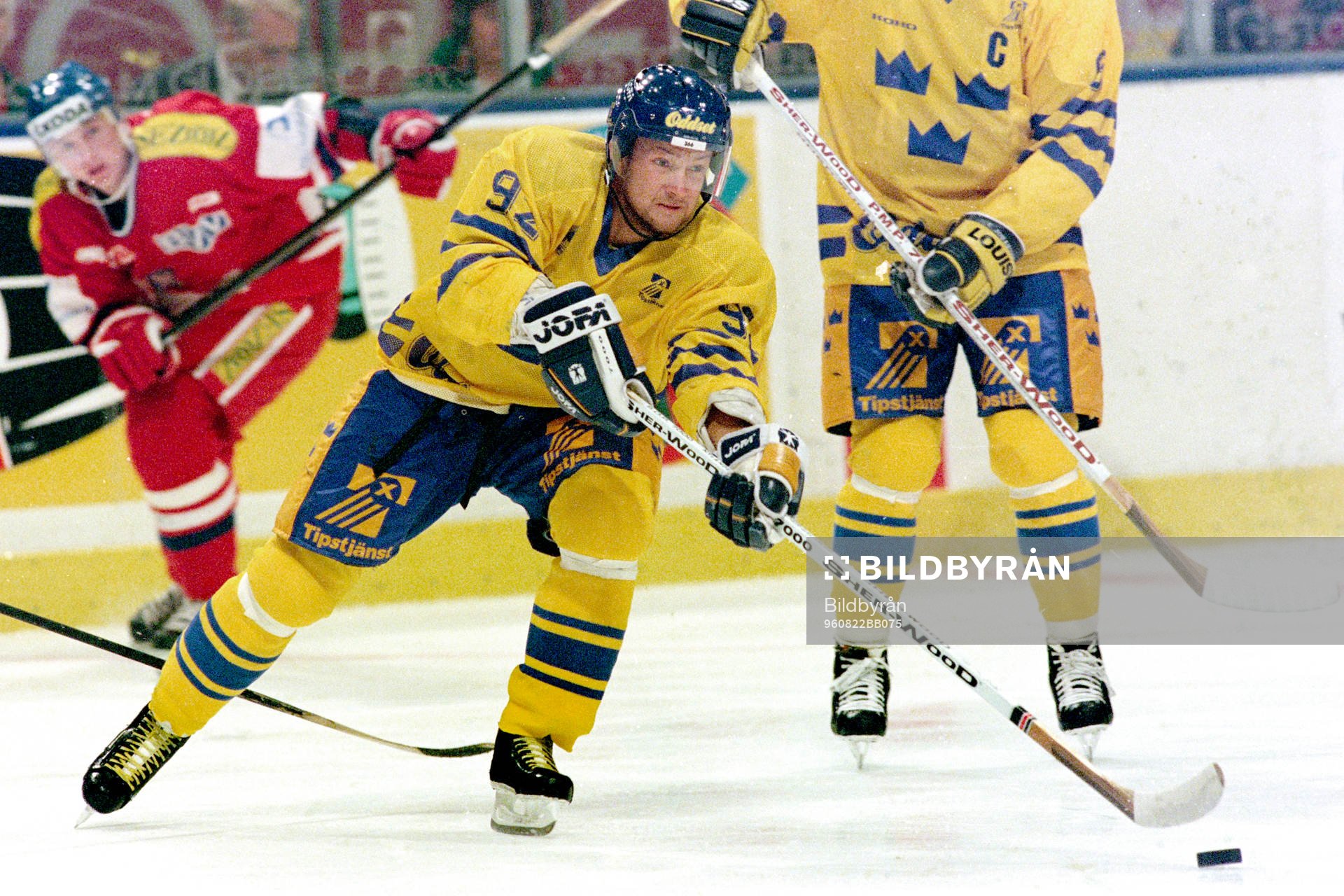 Michael Nylander, Sverige