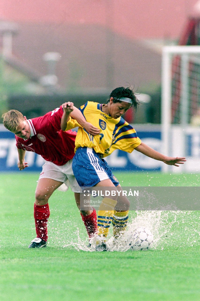 Jan Törnqvist, Sverige