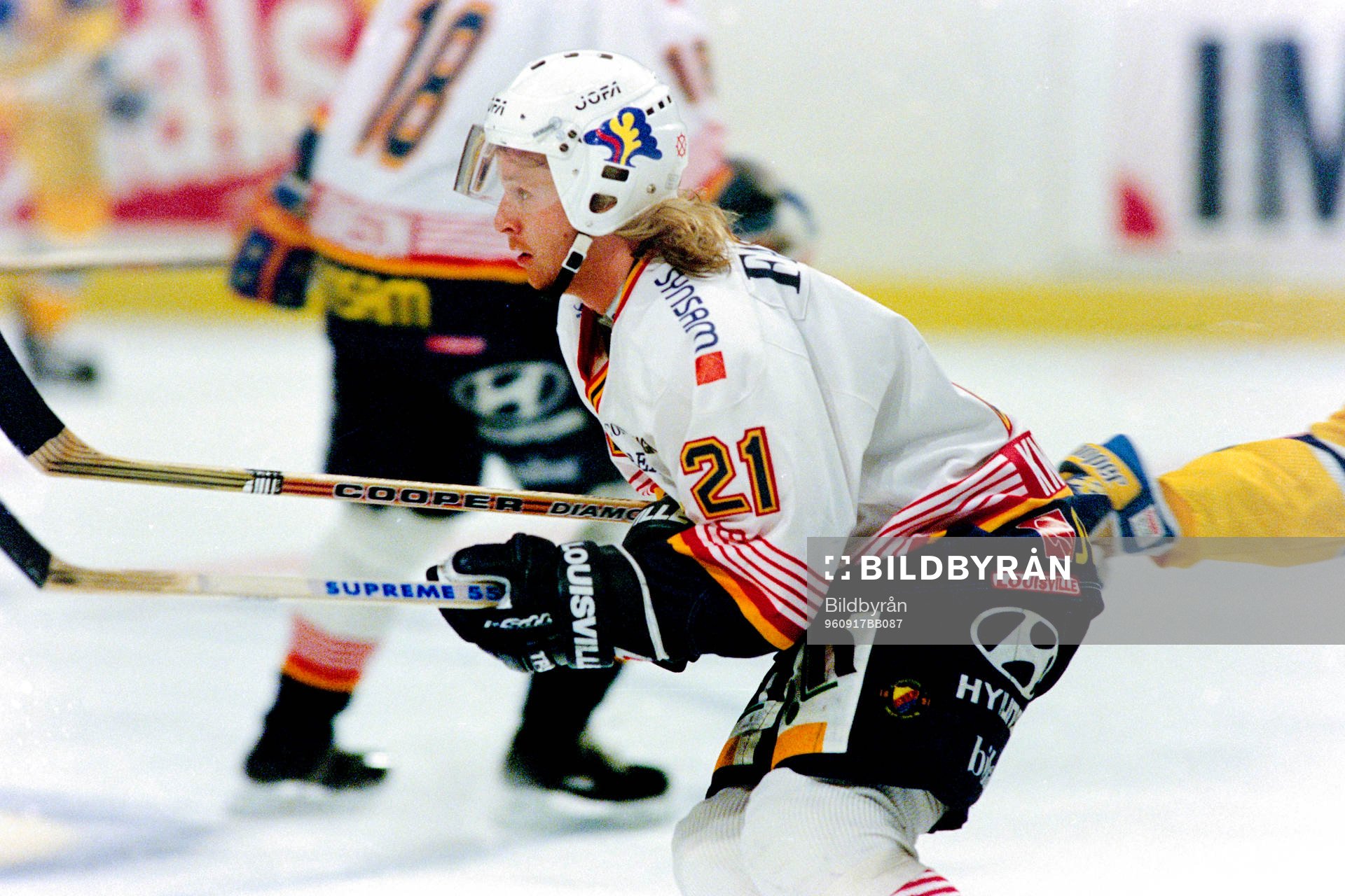 Espen Knutsen, Djurgården