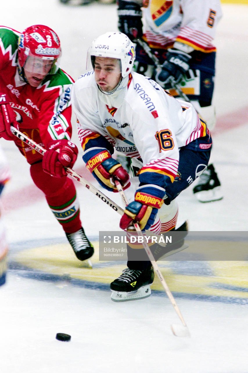 Nichlas Falk, Djurgården