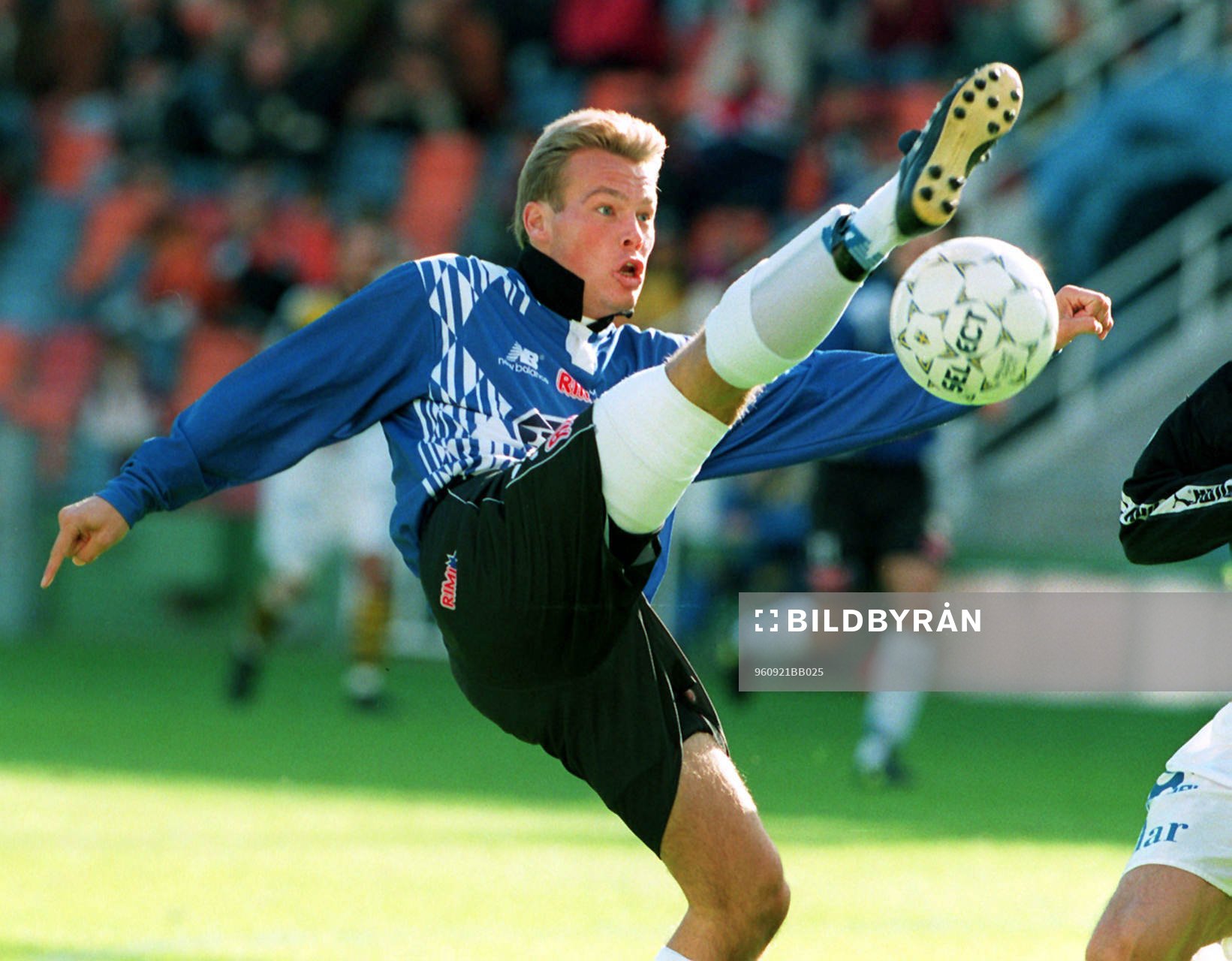 Fredrik Ljungberg, Halmstad