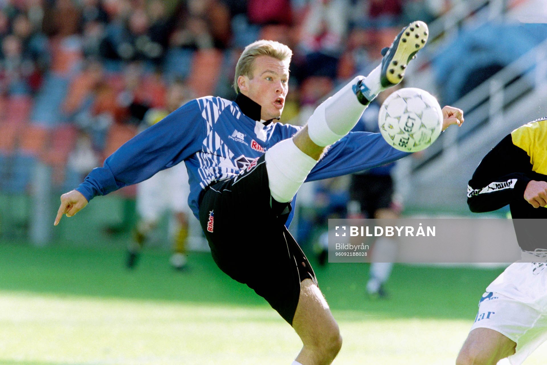 Fredrik Ljungberg, Halmstad