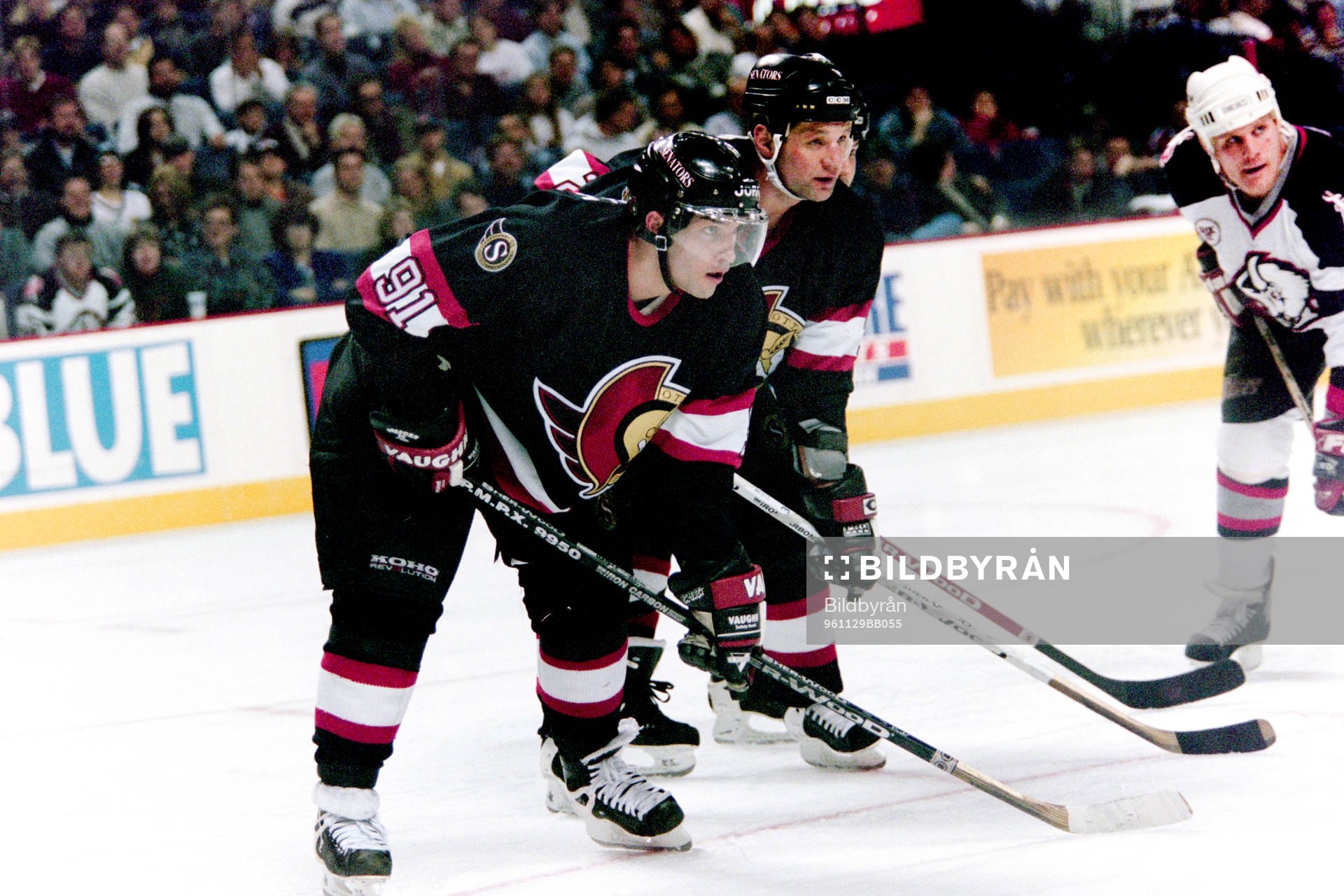 Alexandre Daigle, Ottawa Senators