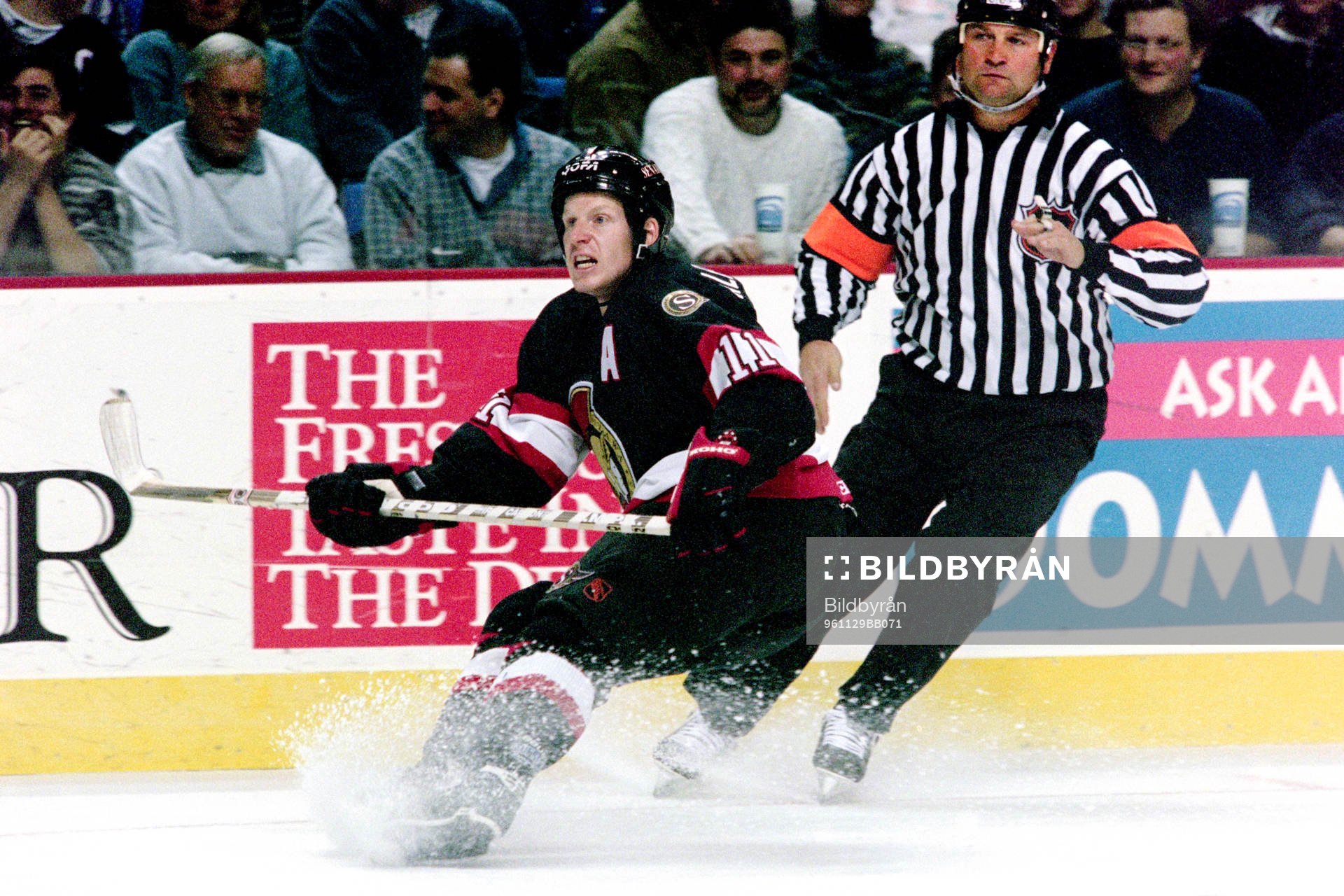 Daniel Alfredsson, Ottawa Senators