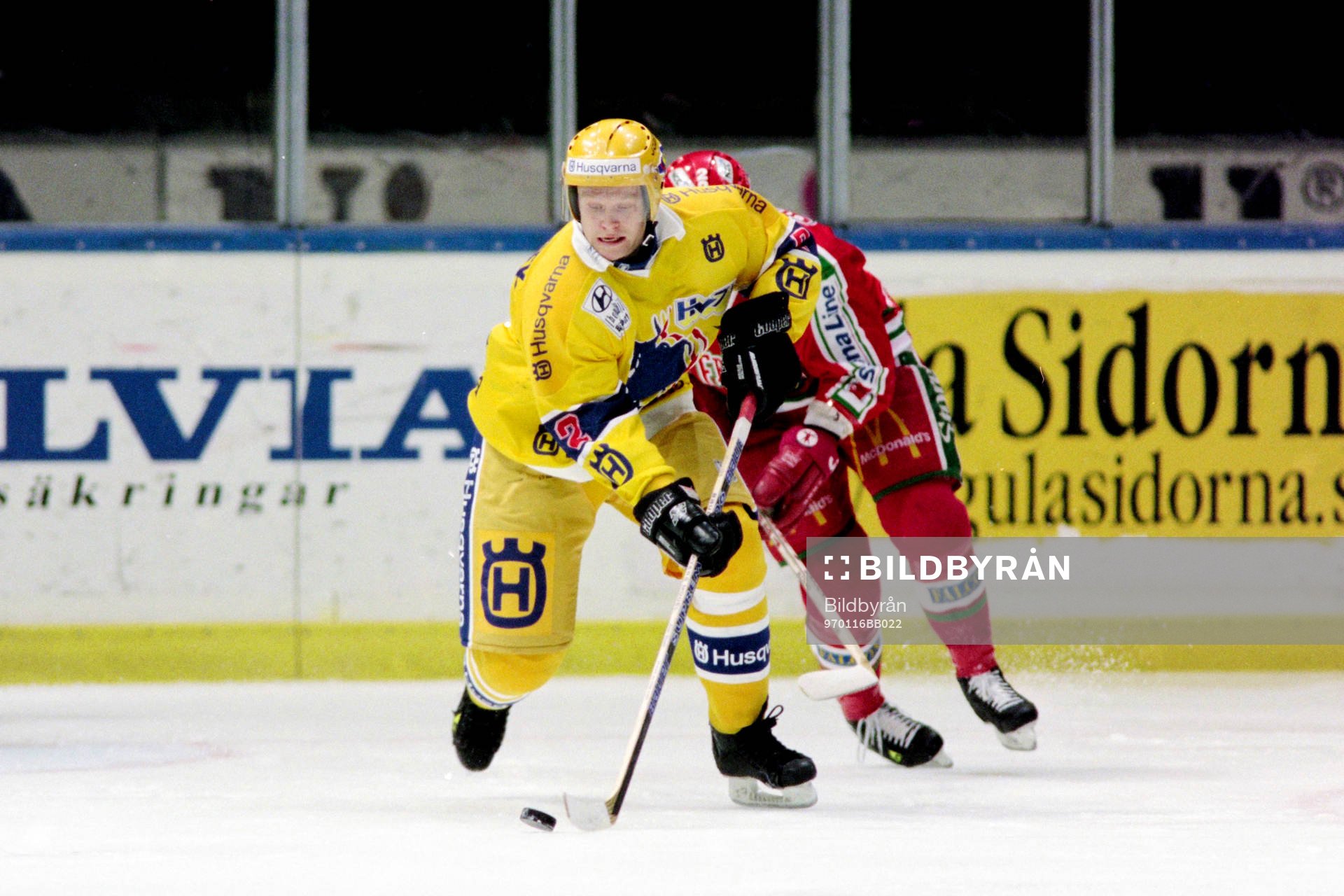 David Petrasek, HV71