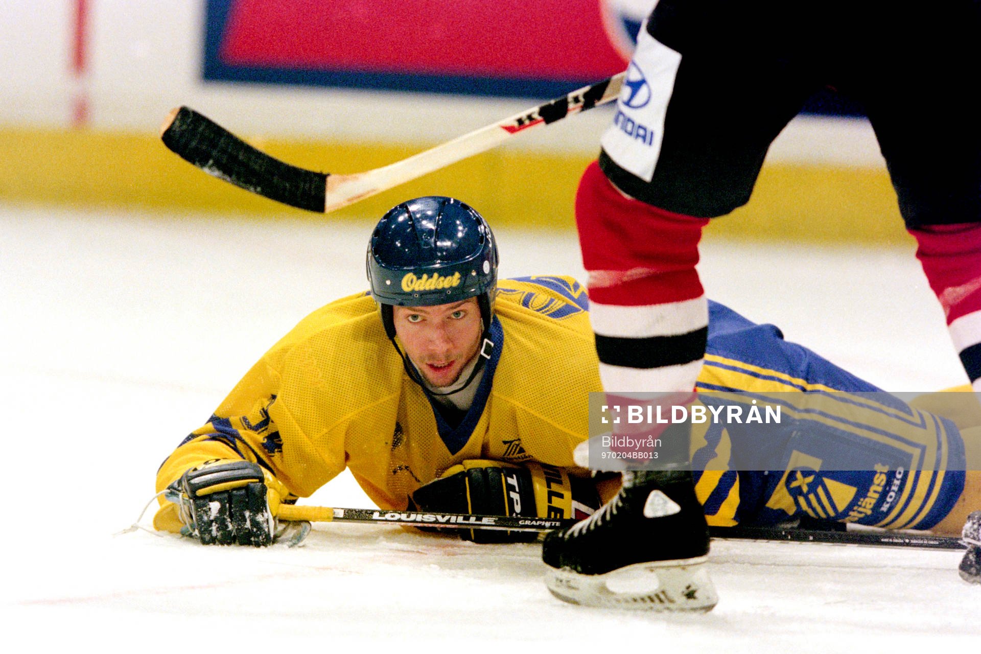 Roger Johansson, Sverige
