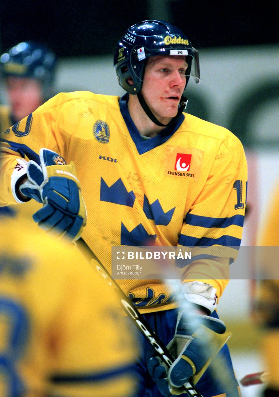Johan Lindbom, Sverige
