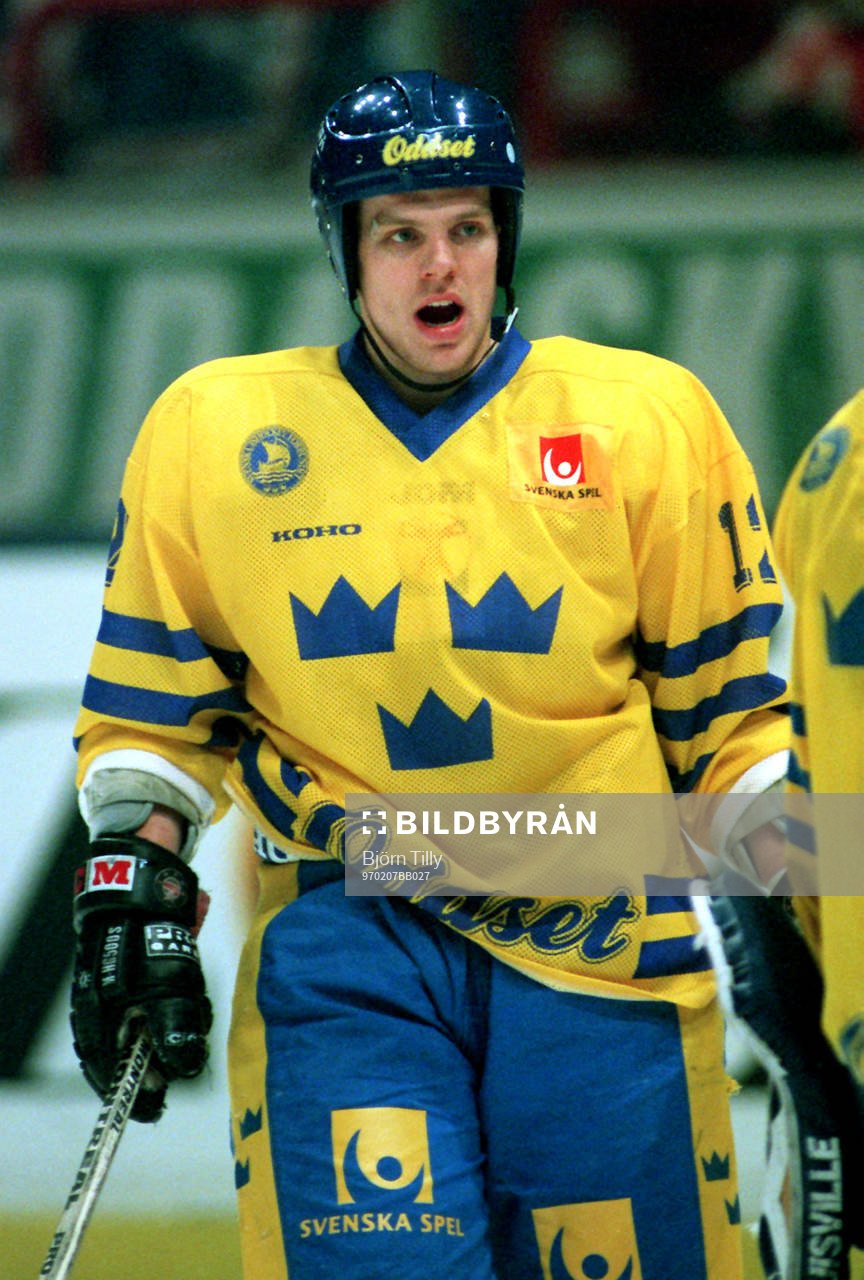 Niclas Hävelid, Sverige