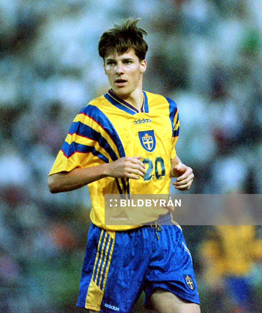 Robert Steiner, Sverige
