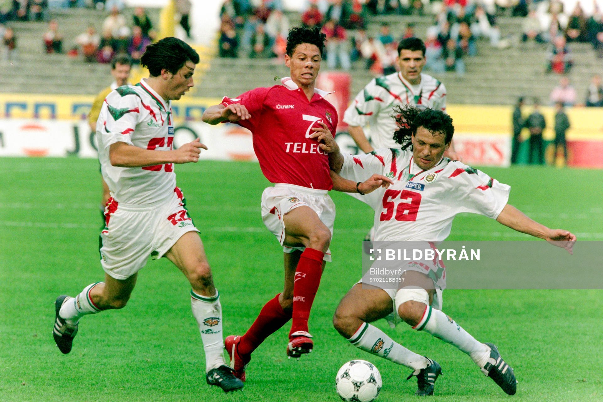 Martin Pringle, Benfica