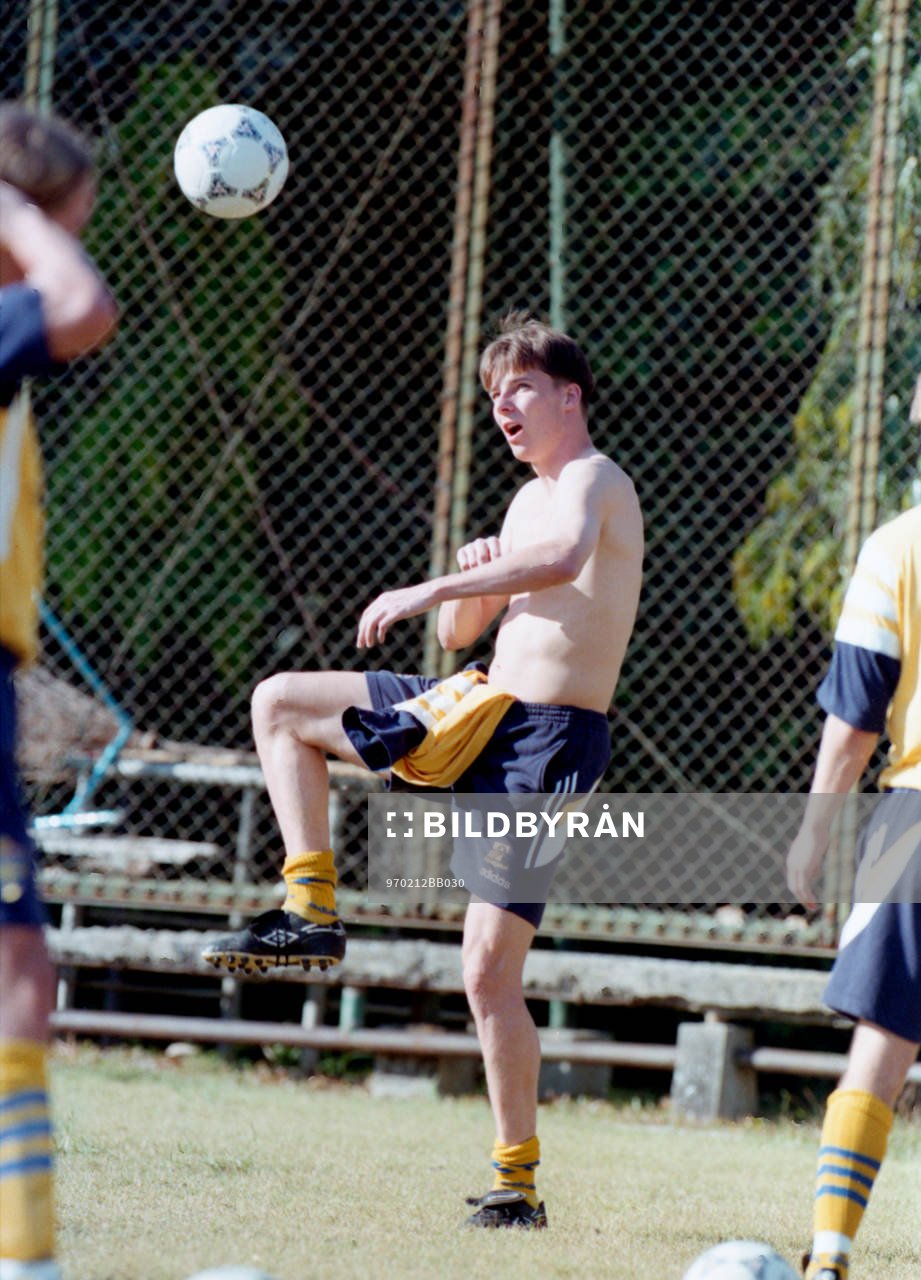 Robert Steiner, Sverige