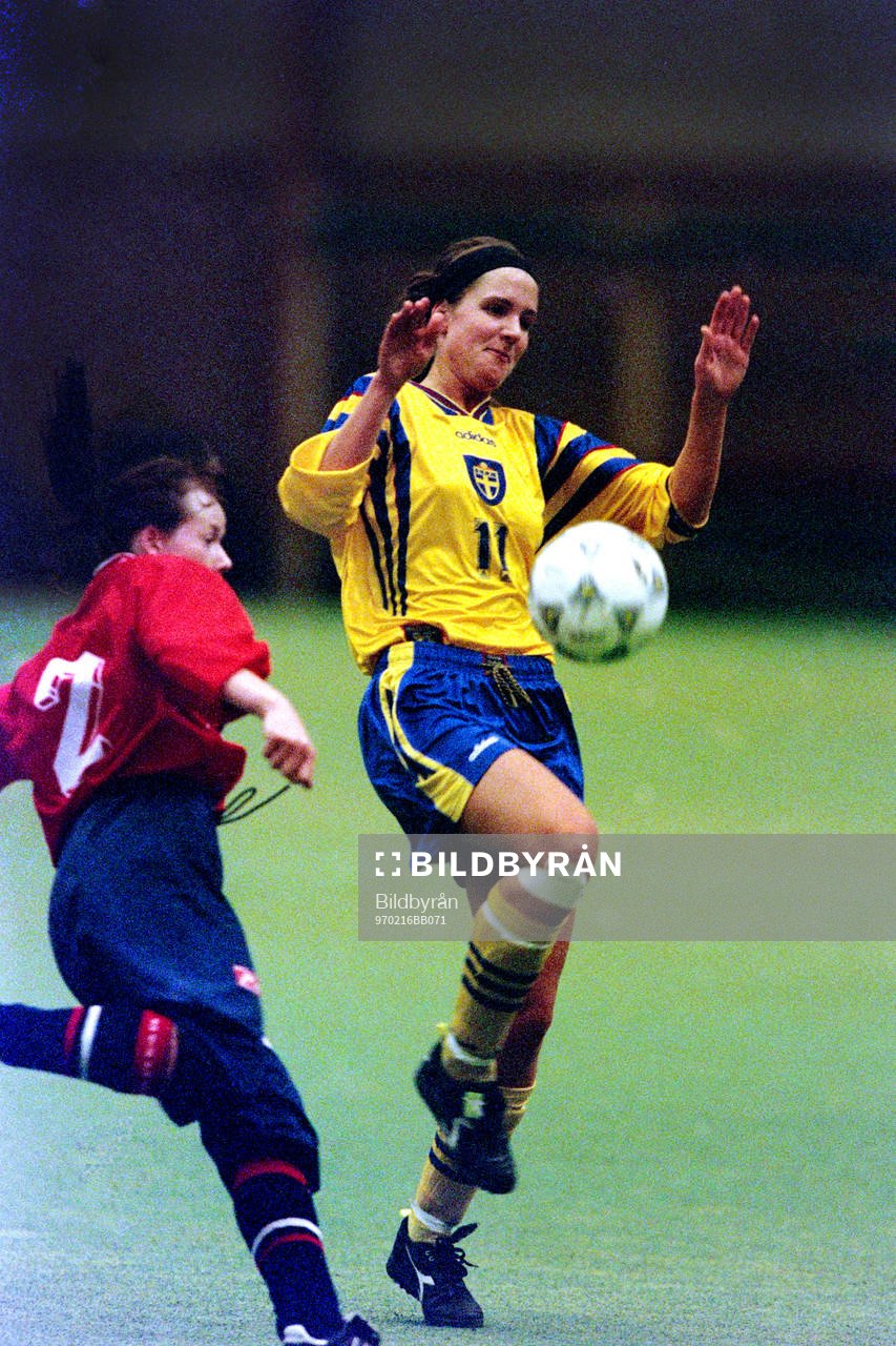 Anneli Wahlgren, Sverige