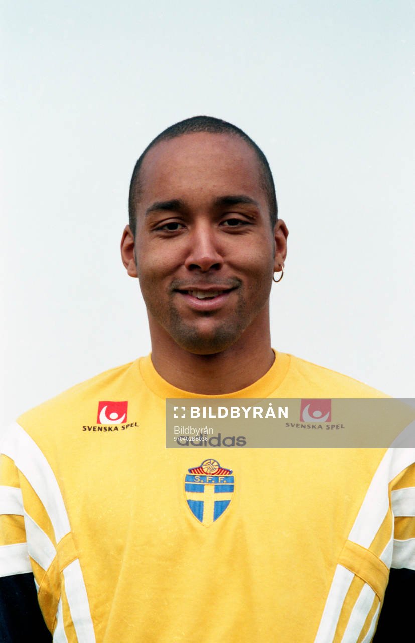 Martin Dahlin, Sverige