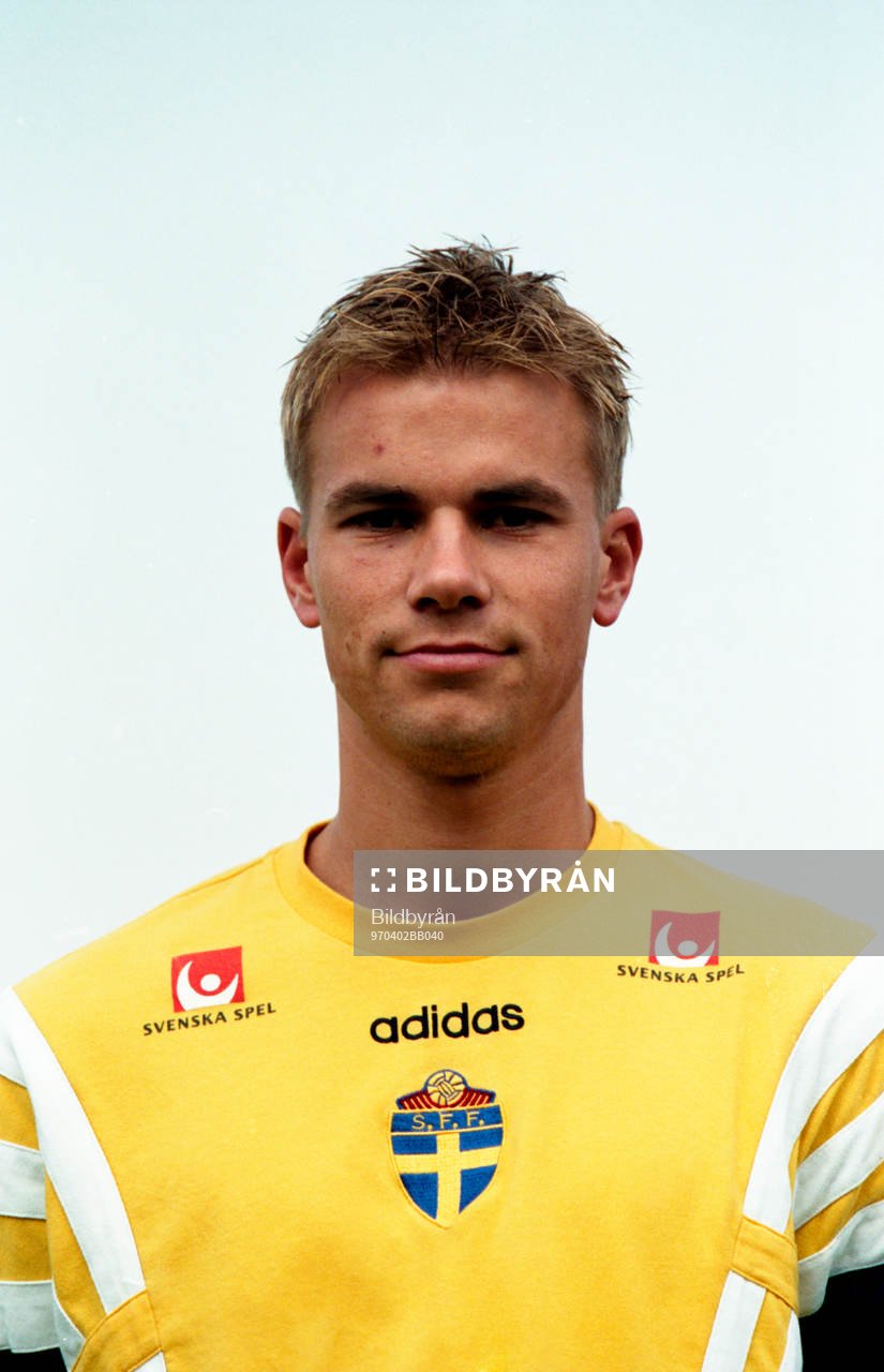 Niclas Alexandersson, Sverige