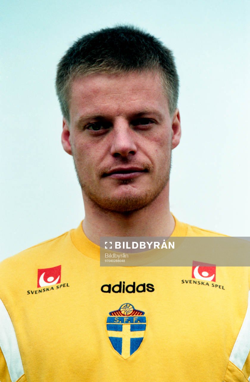 Stefan Schwarz, Sverige