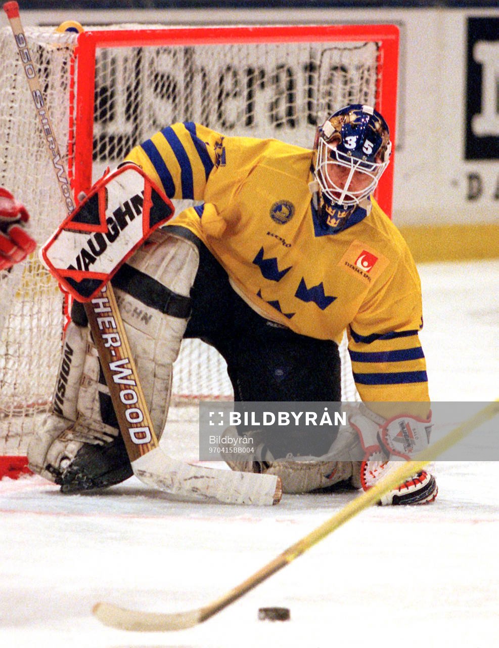 Tommy Salo, Sverige