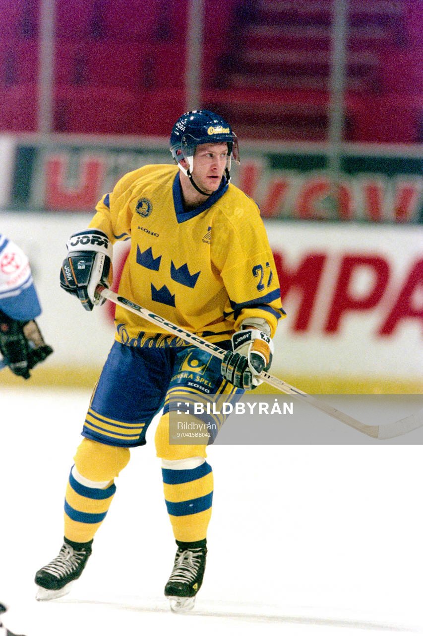 Magnus Arvedson, Sverige