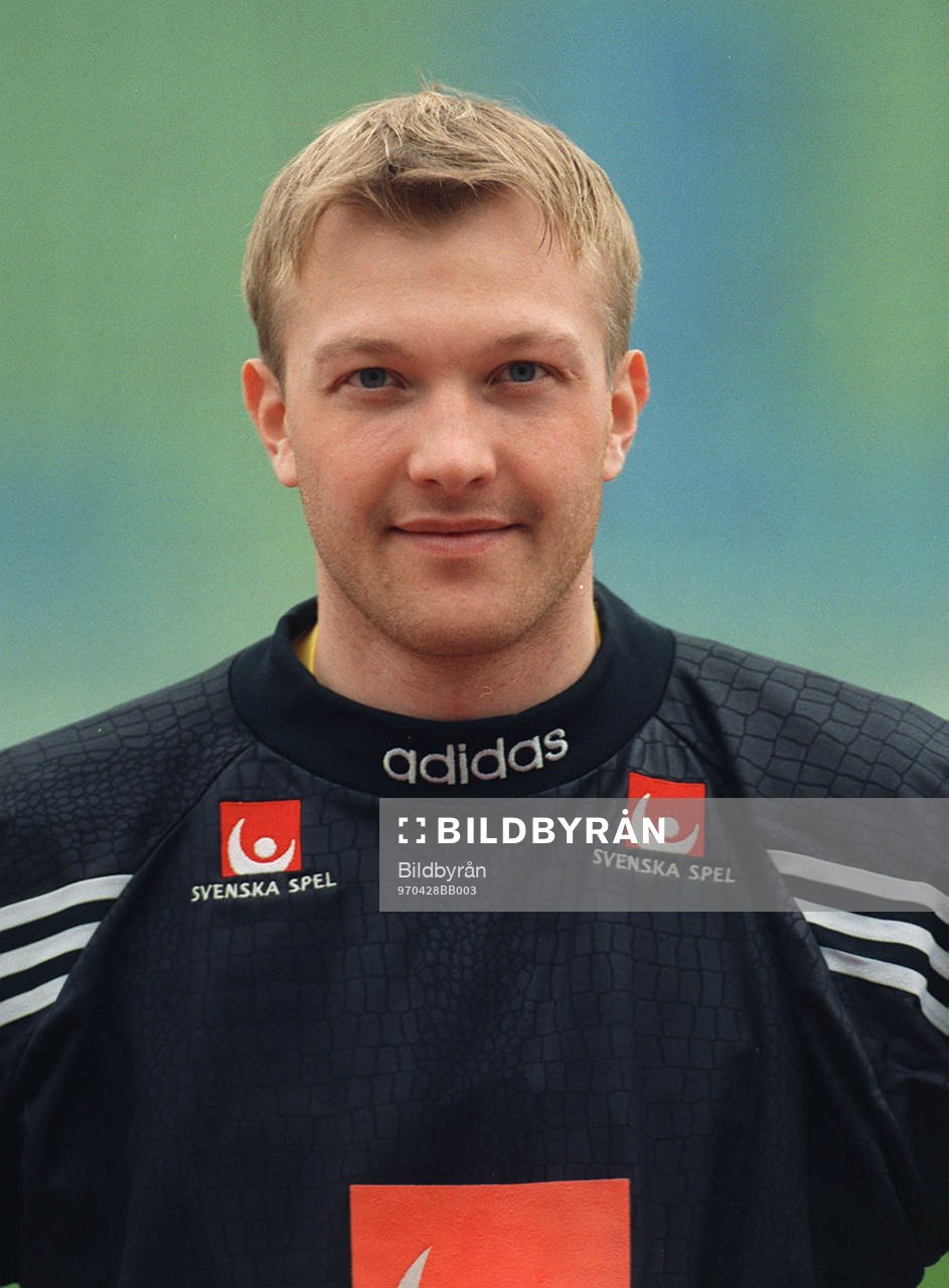 Magnus Hedman, Sverige